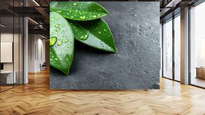 green leaf adorned with glistening water droplets, symbolizing nature’s resilience and the cycle of life. Represents environmental sustainability, carbon reduction, and the beauty of natural elements Wall mural