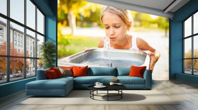 Cheerful wonderful girl drinks cool fresh water from a small fountain in a summer warm sunny park on a long-awaited vacation Wall mural