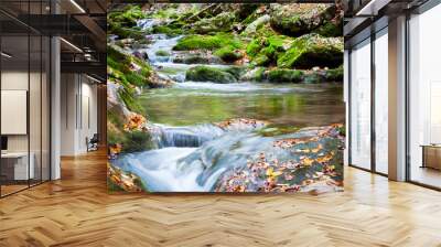 Stream of cold mountain river going down surrounded by green grass and rocks on shore Wall mural