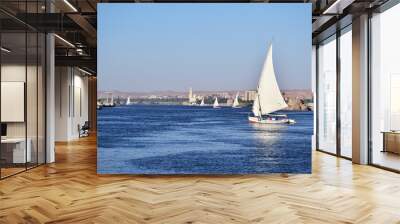 River Nile/ beautiful view for Aswan Egypt and Nubian Egyptian culture. sailing boat sailing in the River Nile and harbor with birds and local houses on the 2 sides  Wall mural