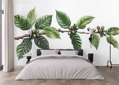 Coffee beans on a tree branch with leaves isolated on white background. Wall mural