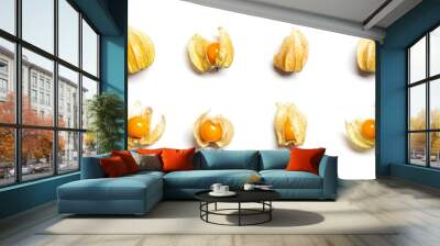 Collection of physalis berries or golden berry isolated on white background. Physalis fruit food Wall mural