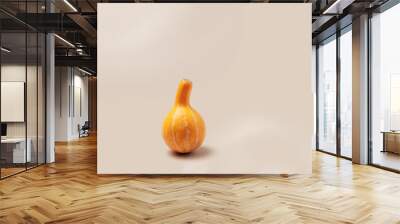 Decorative pumpkin on beige background with copy space. Minimal style aesthetic photo, autumn concept, Halloween and Thanksgiving holiday card. Mini cucurbita or squash, pastel color, creative Wall mural