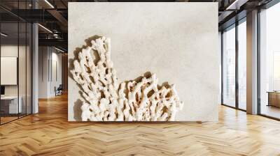 White piece of coral with sun shadow at sunlight, nature above view photo of textures corals on light beige grey concrete, minimal monochrome background with copy space neutral color Wall mural