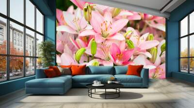 lots of beautiful pink lilies Wall mural