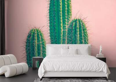 Tall Green Cactus Against Terracotta Wall Wall mural