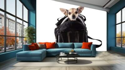 dog carrier, travel bag for small animals, cute pet sitting in airplane crate isolated Wall mural