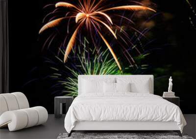 fireworks in the night sky Wall mural