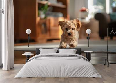 Adorable puppy leaping towards a red ball on a wooden floor in a cozy living room with sunlight streaming in. Wall mural