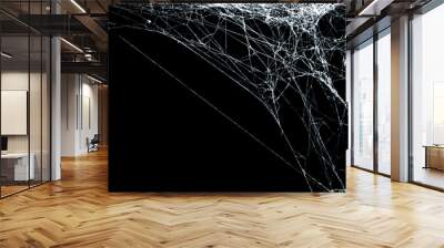 White threads of spider web on right angle corner close up view isolated on black Wall mural