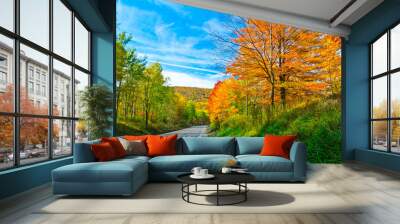 Scenic drive along Route 6 in Pennsylvania Wall mural