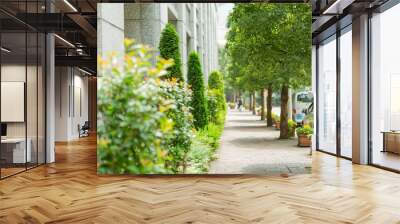 sidewalk and row of trees in italian street in tokyo, japan Wall mural