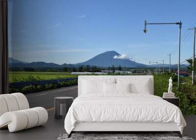 The view of countryside in Hokkaido, Japan Wall mural