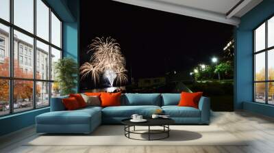 The view of fireworks in Hokkaido, Japan Wall mural