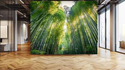 A dense bamboo forest stands tall against the backdrop of the shining sun. Wall mural