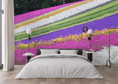 Rainbow Field, Hokkaido, Japan Wall mural