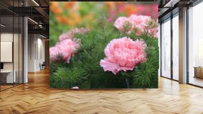 pink color flower garden beauty Wall mural