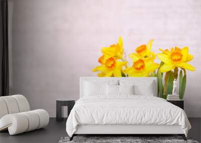 Blooming flowers daffodils yellow. Lots of free space Wall mural