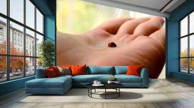 Beautiful small ladybug in hand Wall mural