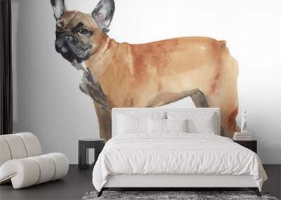 Dog watercolor illustration french bulldog breed pet animal isolated on white background Wall mural