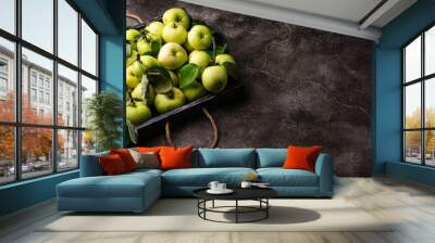 Fresh ripe green apple in dark background. Wall mural