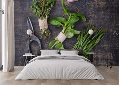 Rosemary, thyme and basil. Fresh garden herbs Wall mural