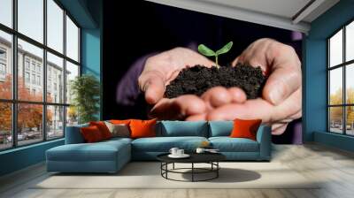 Male hands holding young plant. Ecology concept.Hands holding soil with young tree. Earth Day.Seedlings grow in soil.Planting trees to reduce global warming.new seedling sprouting from the ground Wall mural