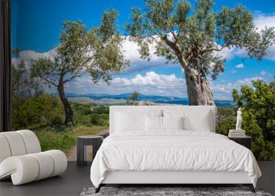 Road between two Olive trees under bright blue sky with white clouds at Teos ancient city, Seferihisar, Izmir,Turkey Wall mural