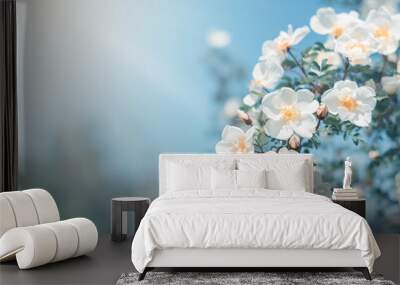 white bush roses on a background of blue sky in the sunlight. beautiful spring or summer floral back Wall mural