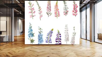 Watercolor set with vertical flowers.Blue and white delphinium,pink antirrihnum,lupine. Wall mural