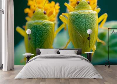 A couple of green bugs sitting on top of a yellow flower Wall mural