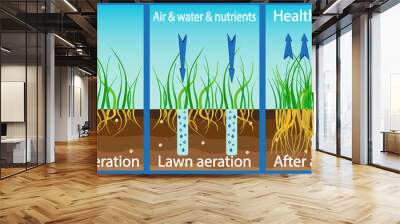 Aeration of the lawn. Enrichment with oxygen water and nutrients to improve lawn growth. Before and after aeration: gardening, lawn care services. Advantages, aeration Wall mural