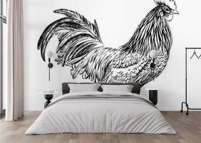 Rooster drawn in black ink on a white background.  Wall mural