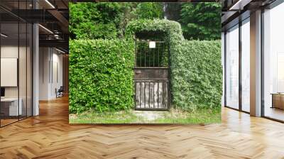 Garden design. Authentic old metal rusty gate entrance to garden shabby aged with peeling paint. Cozy entrance to the courtyard of a rural house. Green design with bush fence hedge. Wall mural