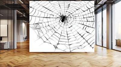 Graceful spider web silhouette symbolizing delicate intricacy Wall mural