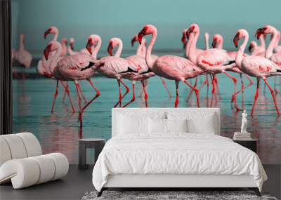 wild african birds. group birds of pink african flamingos walking around the blue lagoon on a sunny  Wall mural