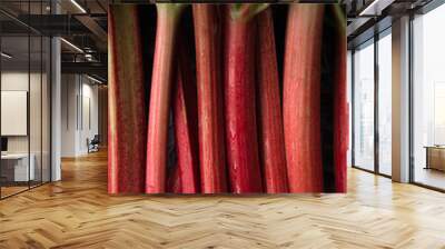 Fresh rhubarb stalks Wall mural