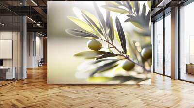 Closeup of olive fruit on tree branch. Olive garden and sunlight background design. AI Generated Wall mural