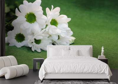 Chrysanthemum flowers lie on a green background. Copy space. Wall mural