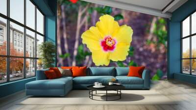 flower Wall mural