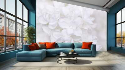 Lilac flowers. white lilac on a light background.Spring  Wall mural