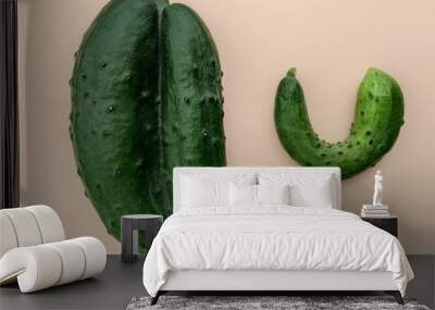 Trendy Ugly food vegetable. Fresh ugly organic cucumber on a pastel pink background with copy space. Funny, abnormal vegetable or food waste concept. Ugly shaped organic vegetables. Imperfect food. Wall mural