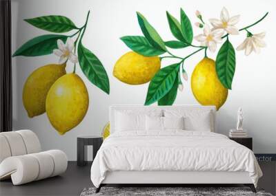 Vector set of watercolor vintage lemon branches with flowers and fruits on white background. Wall mural