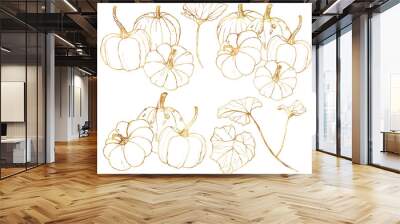 Vector golden pumpkins set for autumn harvest festival. Hand painted traditional pumpkins with leaves and branches isolated on white background. Botanical line art illustration for design, print. Wall mural