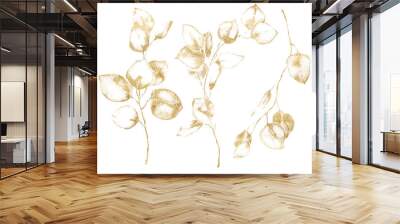 Watercolor floral set of gold eucalyptus leaves, seeds and branches. Hand painted silver dollar eucalyptus isolated on white background. Illustration for design, print, fabric or background. Wall mural