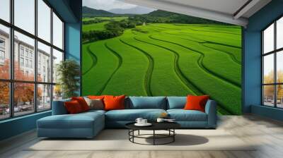 Fertile agricultural land with bright green crops swaying in the breeze Wall mural