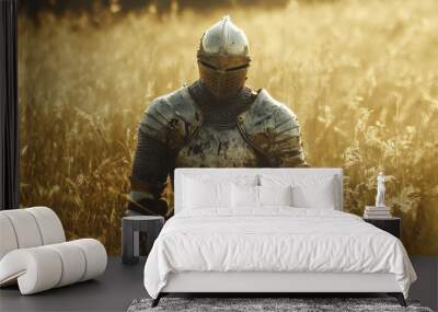 knight in armour Wall mural