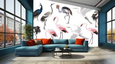 Biggest birds set in realistic style, high quality detail. Vector Wall mural