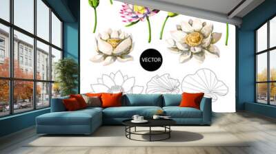 Set of waterlily hand draw isolated. Vector illustration. Wall mural