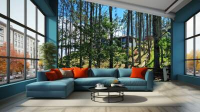 A beautiful house in the mountains on a sunny day, nestled among a pine forest Wall mural